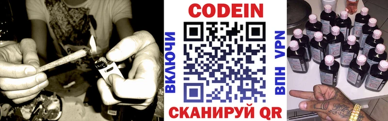 blacksprut ONION  Николаевск  Codein Purple Drank  где найти наркотики 