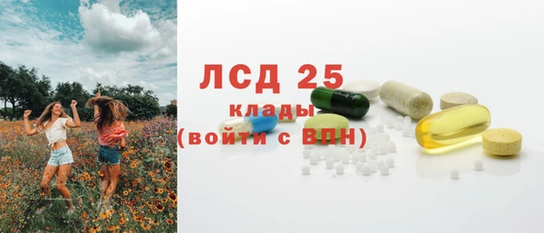 дживик Балахна