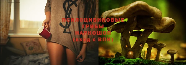 дживик Балахна
