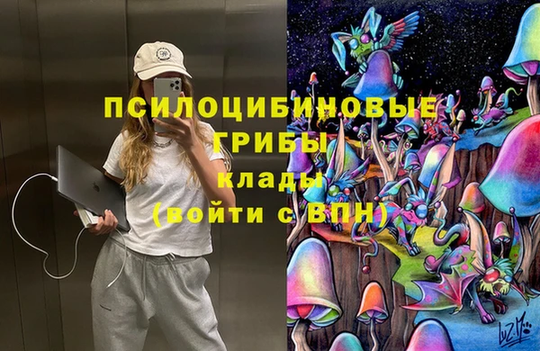 бутират Баксан